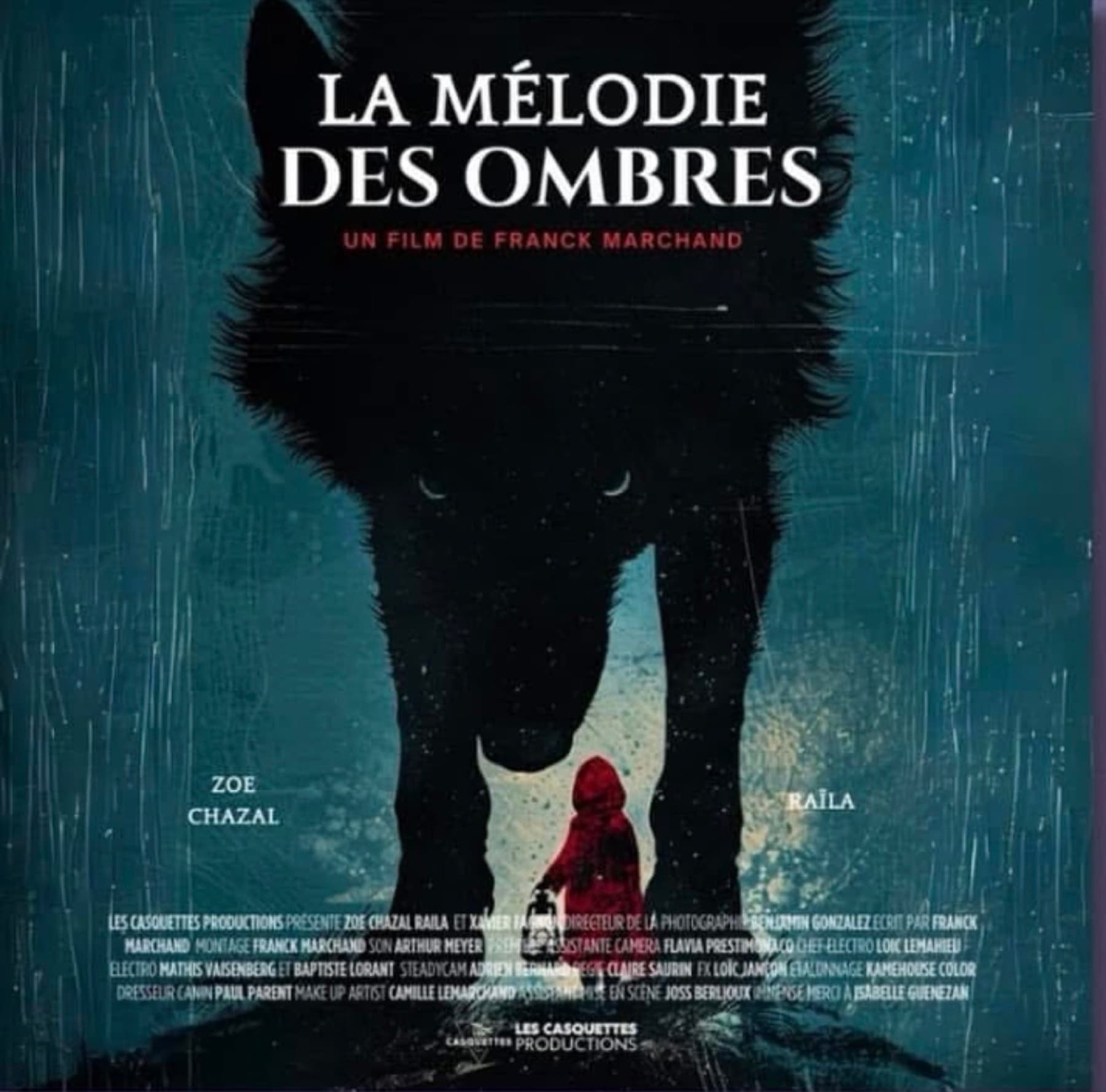 Affiche du film La Mélodie des ombres