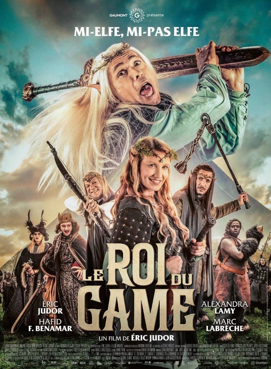 Affiche du film Le Roi du game